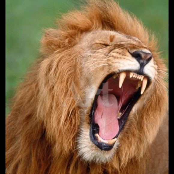 Meet your Posher, Almosley66 - Picture 2 of 2